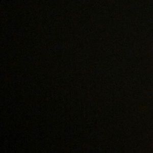 Meet your Posher, Ava